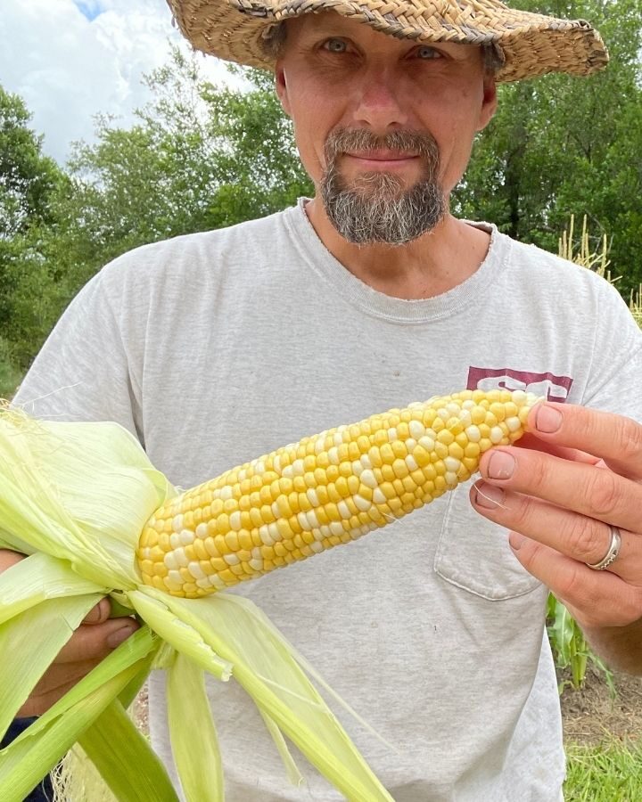 man in hat holding a beautiful ear of corn fresh from the garden, tips & tricks in the garden, grow your own food, learn how to grow corn