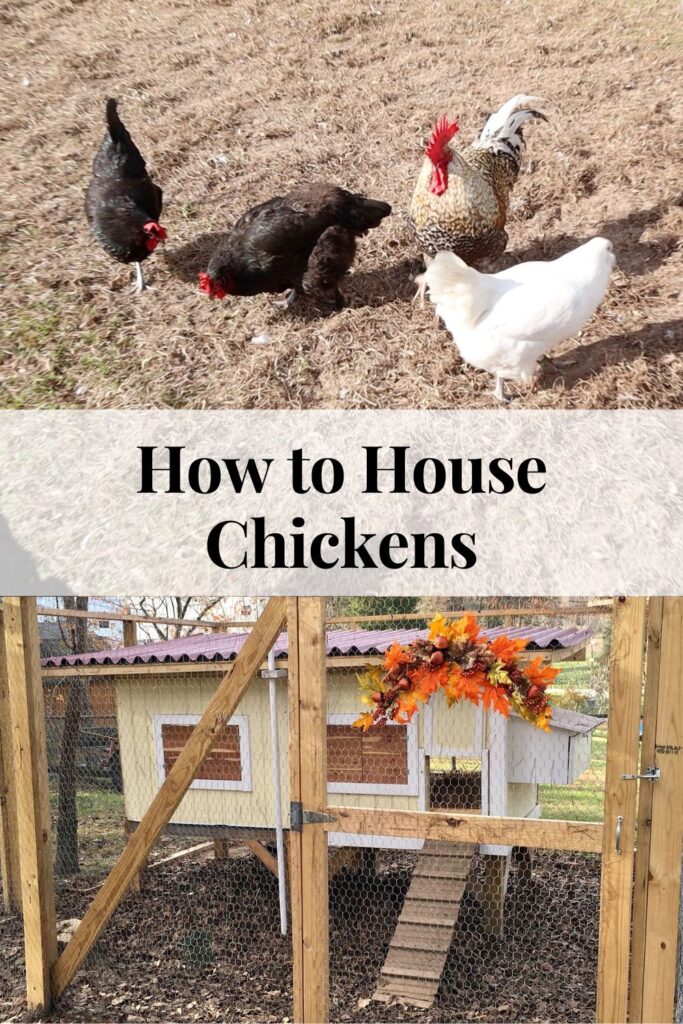 two images with the top image showing chickens scratching around in the grass and the bottom image shows the little yellow hen house with cedar shutters