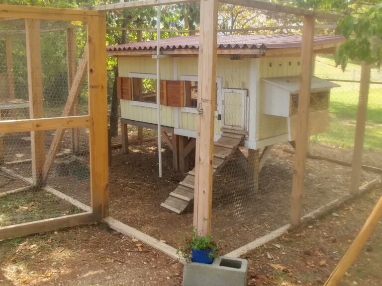 small yellow hen house inside a run area for the chickens