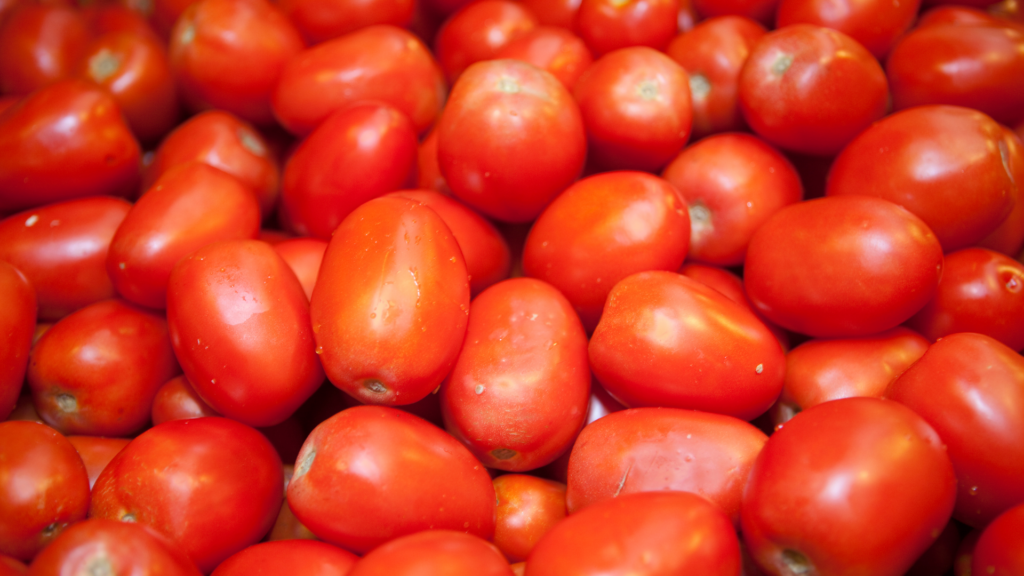 bunch of red paste tomatoes