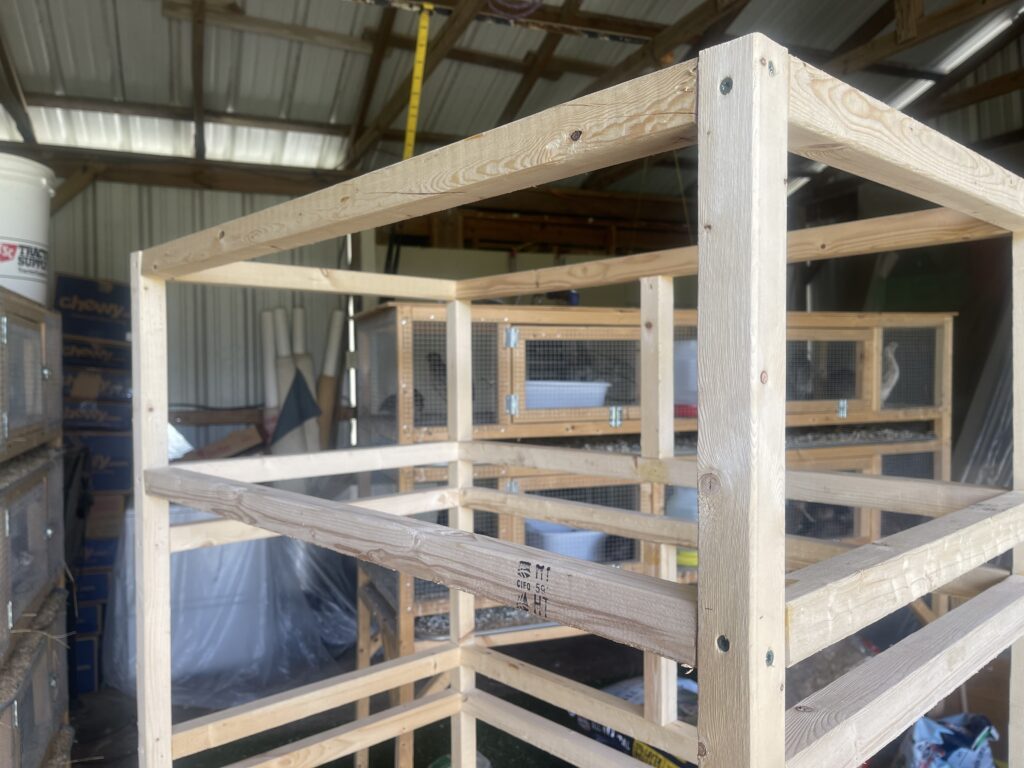 quail cage frame with sides and back joined together