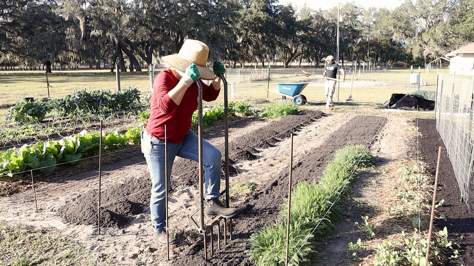 man and woman creating a garden